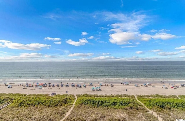 water view featuring a beach view