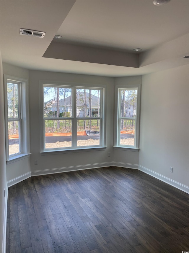 spare room featuring dark wood-style floors, plenty of natural light, a raised ceiling, and baseboards