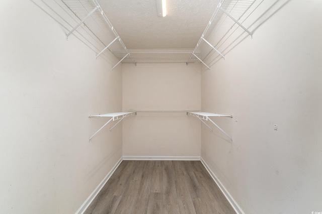 walk in closet with hardwood / wood-style flooring