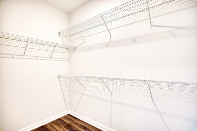 walk in closet with dark wood-type flooring