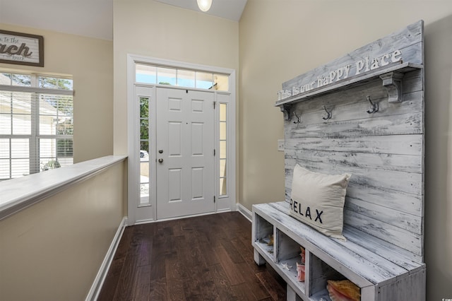 mudroom featuring dark hardwood / wood-style flooring