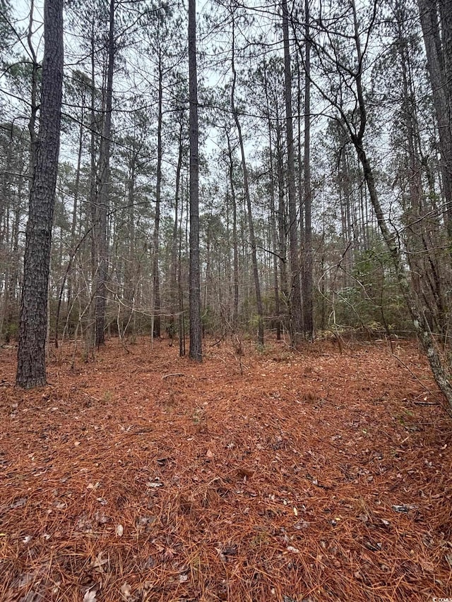 Suttons Rd, Andrews SC, 29510 land for sale