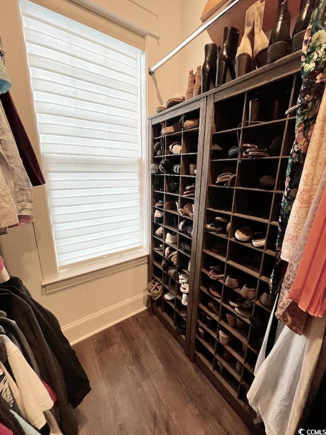 spacious closet with dark hardwood / wood-style flooring