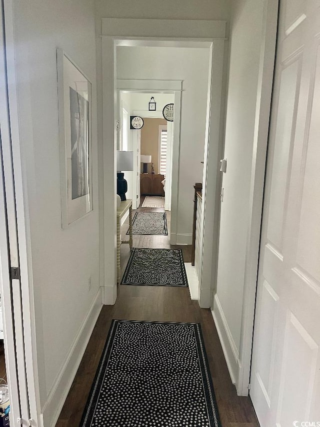 corridor with dark wood-type flooring