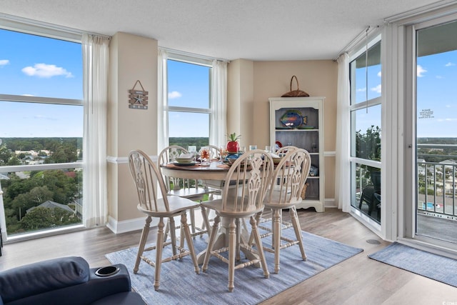 dining room featuring a wealth of natural light, a textured ceiling, and wood finished floors