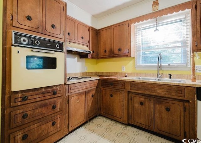 kitchen featuring a sink, brown cabinets, under cabinet range hood, and white appliances
