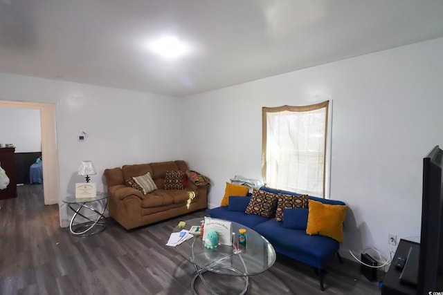 living room featuring wood finished floors