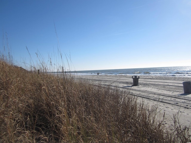 property view of water featuring a beach view