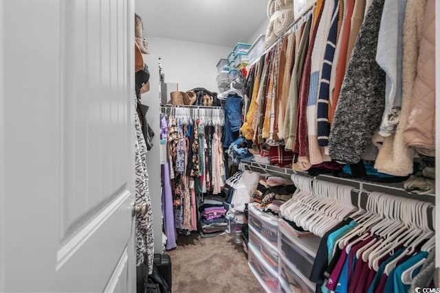 spacious closet featuring carpet floors