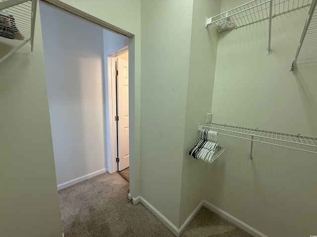 3955 Gladiola Ct Unit 301, Myrtle Beach, SC 29588 - walk in closet with carpet floors