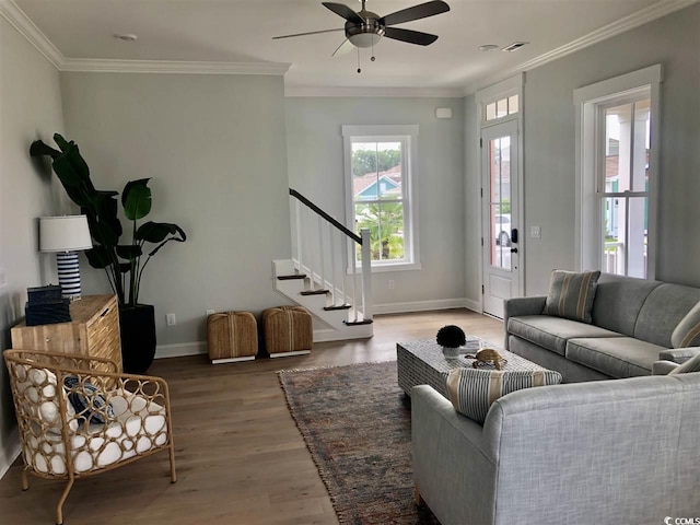 living room with wood-type flooring, ceiling fan, and crown molding