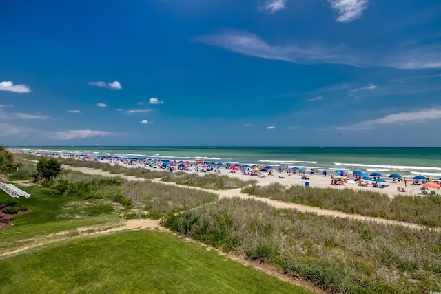 water view featuring a beach view