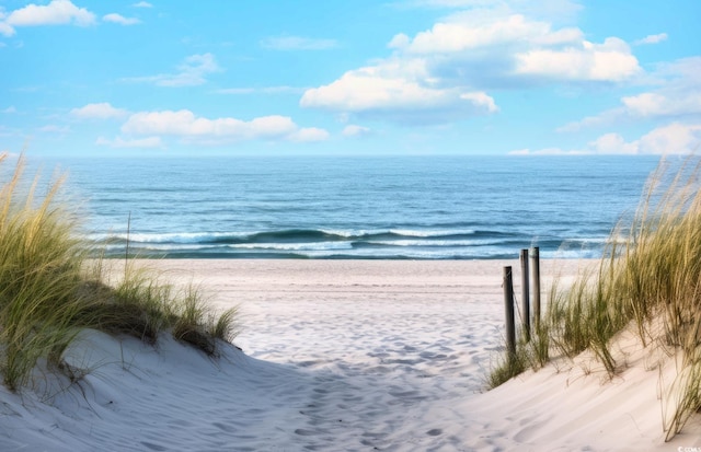 property view of water with a view of the beach