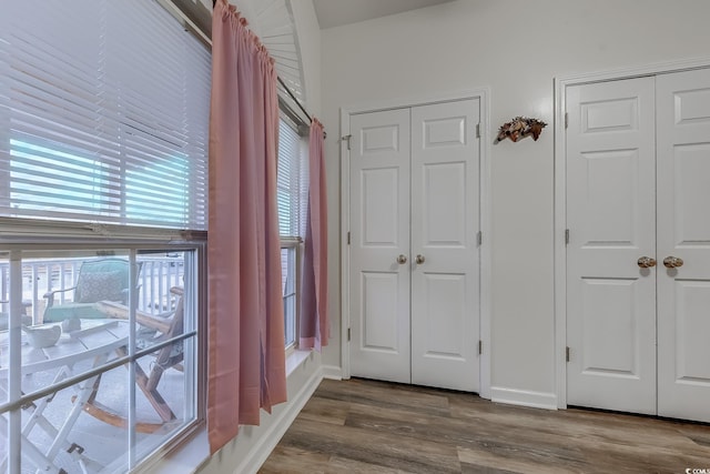 920 Leather Leaf Ln, Longs, SC 29568 - corridor with plenty of natural light and dark wood-style floors