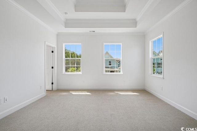 1800 Tryon Dr, Myrtle Beach, SC 29588 - empty room with crown molding, a tray ceiling, light colored carpet, and baseboards