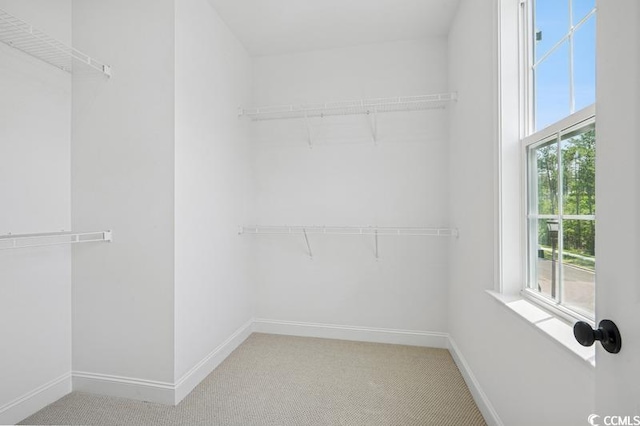 1800 Tryon Dr, Myrtle Beach, SC 29588 - spacious closet with carpet flooring