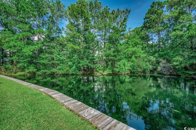 8545 Hopkins Cir Unit G, Myrtle Beach, SC 29575 - view of dock with a water view and a forest view