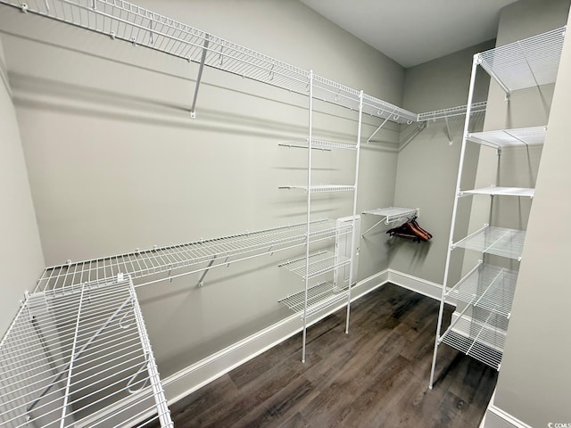 spacious closet with wood finished floors