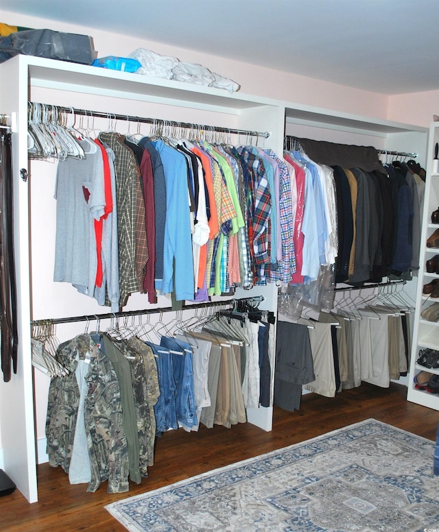 spacious closet featuring dark wood-style flooring