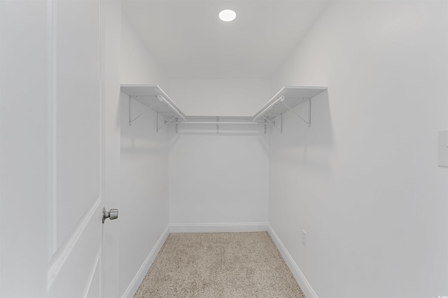 walk in closet with light colored carpet