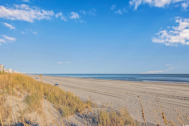 water view featuring a beach view