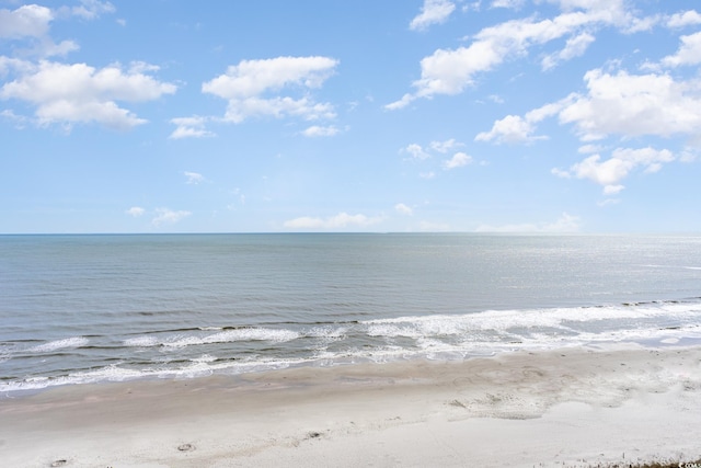 water view featuring a beach view