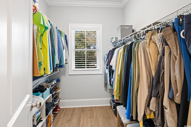 walk in closet featuring hardwood / wood-style flooring