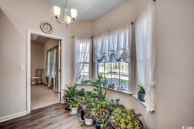 dining area with an inviting chandelier and hardwood / wood-style flooring