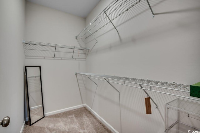 spacious closet with carpet flooring