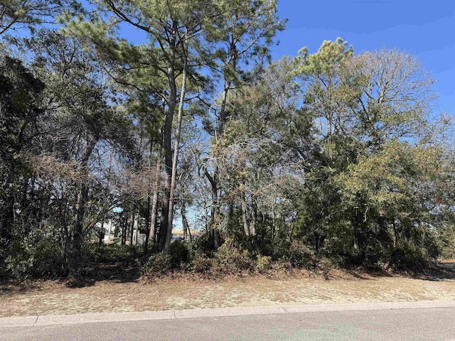 TBD 1st Ave S, North Myrtle Beach SC, 29582 land for sale