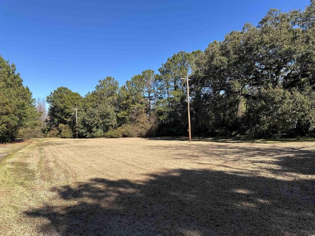 402 Wilkinson St, Georgetown, SC 29440 - photo 8