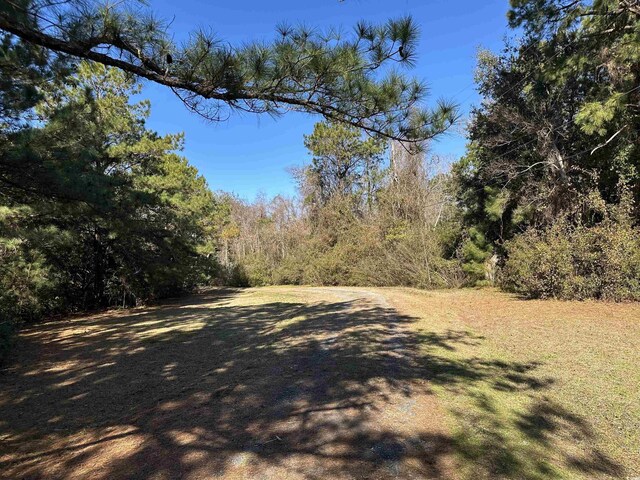 402 Wilkinson St, Georgetown, SC 29440 - photo 7