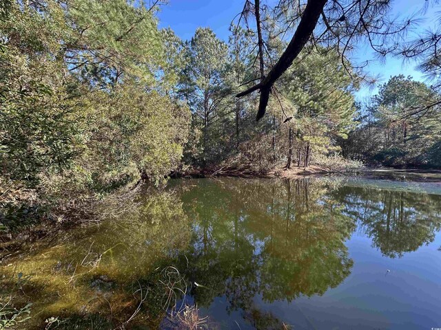 402 Wilkinson St, Georgetown, SC 29440 - photo 11