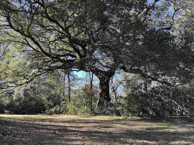 view of nature