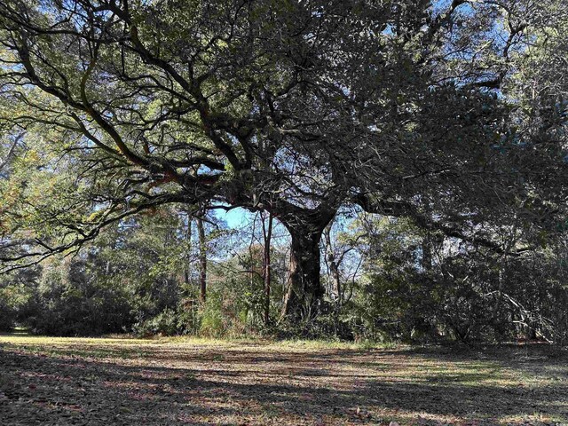402 Wilkinson St, Georgetown, SC 29440 - photo 10