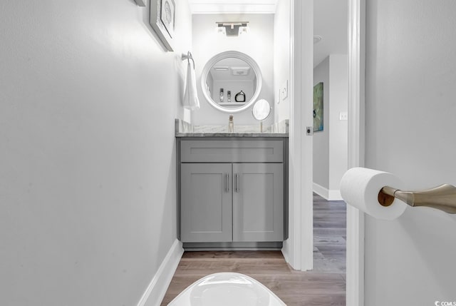 bathroom featuring hardwood / wood-style flooring and vanity