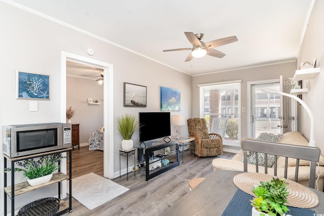 living room with ceiling fan, ornamental molding, and light hardwood / wood-style floors