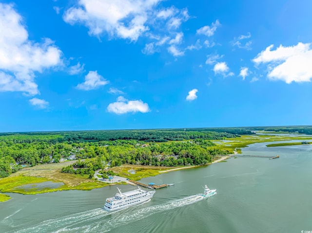 bird's eye view featuring a water view and a view of trees