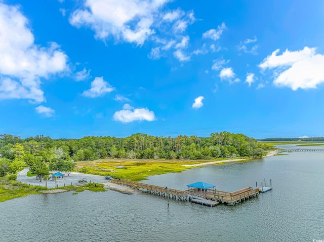 dock area featuring a water view and a wooded view