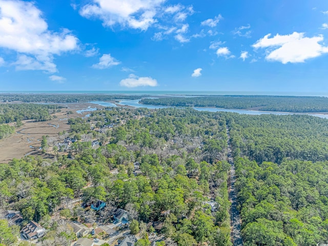 aerial view with a water view and a wooded view