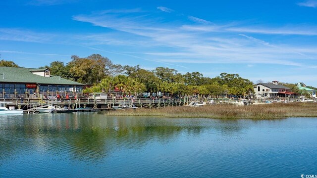 122 Bayou Loop Lot 9, Surfside Beach, SC 29575 - photo 16