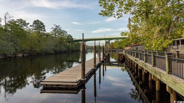 dock area with a water view