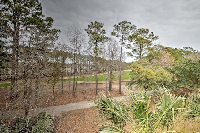 6015 Catalina Dr Unit 734, North Myrtle Beach, SC 29582 - view of yard