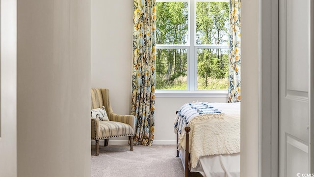 bedroom with carpet flooring and baseboards