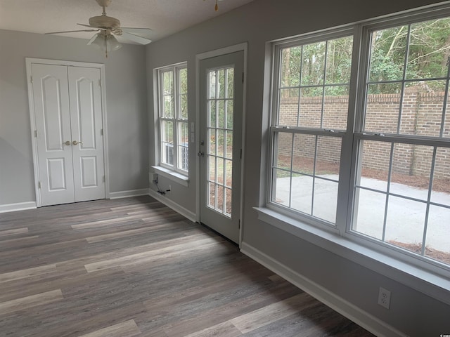 entryway with dark hardwood / wood-style flooring, ceiling fan, and a wealth of natural light