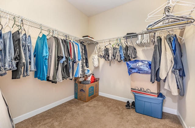 spacious closet featuring carpet