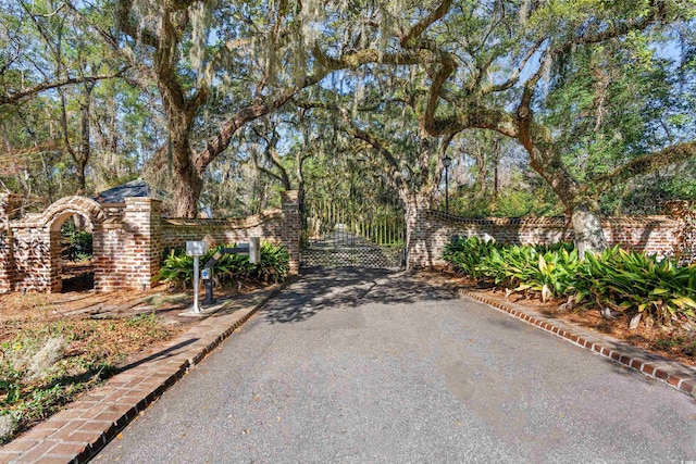 view of road with a gate and a gated entry