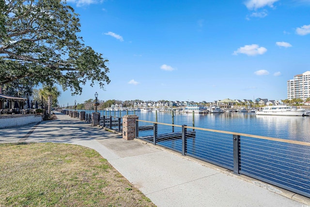 dock area with a water view