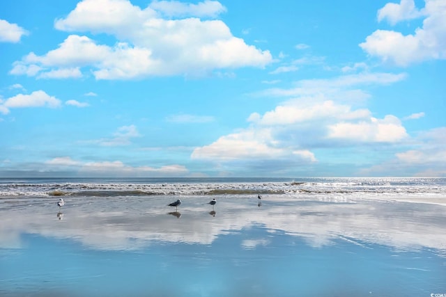 view of water feature with a beach view