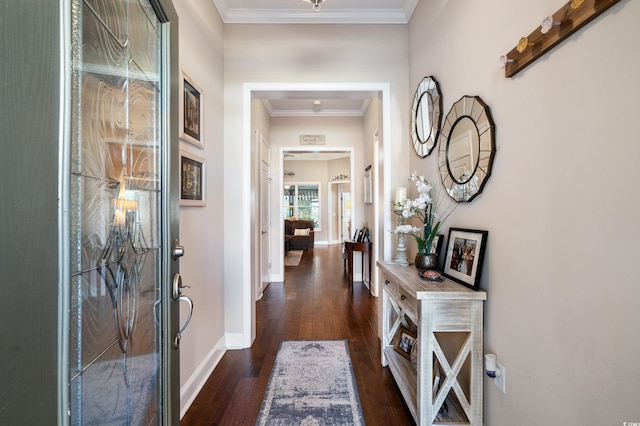 hall featuring ornamental molding and dark hardwood / wood-style floors